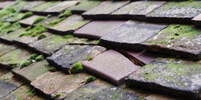 Lake End roof repair costs